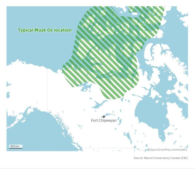 a map showing lines highlight where musk ox are located in the north, and a pin point showing where fort Chipewyan is. 