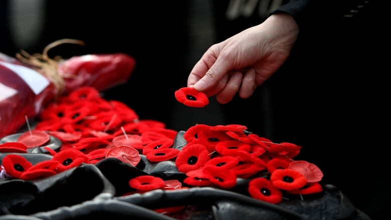 A person lays a poppy on the Tomb of the Unknown Soldier.