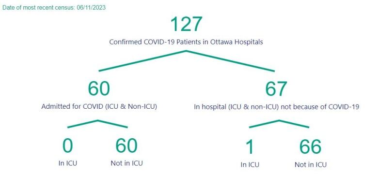 A chart showing the number of people in Ottawa hospitals with COVID.