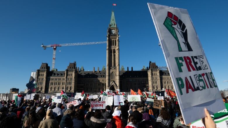 People wave white, green and black flags with a red triangle during an outside rally at a legislature. One prominent flag says 'Free Palestine.'