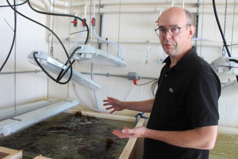 A man in a black shirt stands beside an open tank filled with water and kelp.