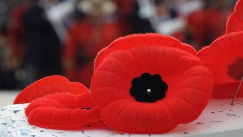 A close up of a red poppy on a ledge outdoors