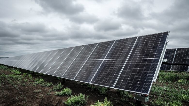 Solar panels under cloudy skies on scrubby ground.