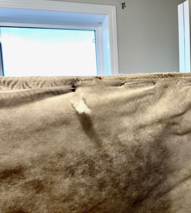 A box spring on its side showing black mould on the bottom.