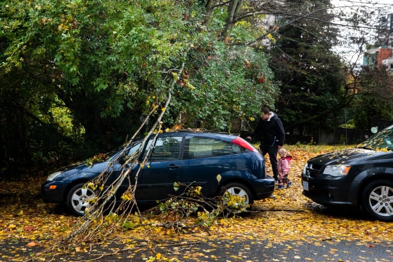 A father and small child walk past a car that is strewn with branches and leaves following a windstorm.