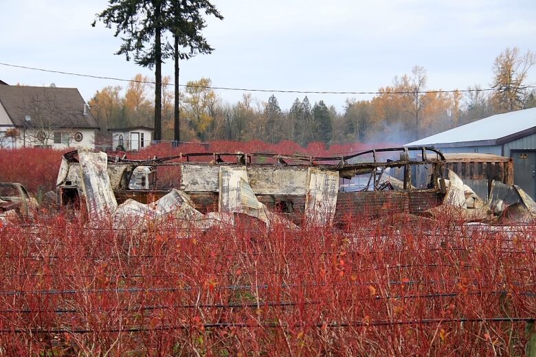 Smoke rises from a burned out vehicle with houses in the background, on a forested lot.