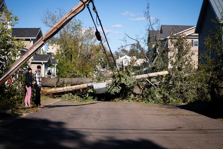 A tree on a downed powerline in the middle of a street in Charlottetown.