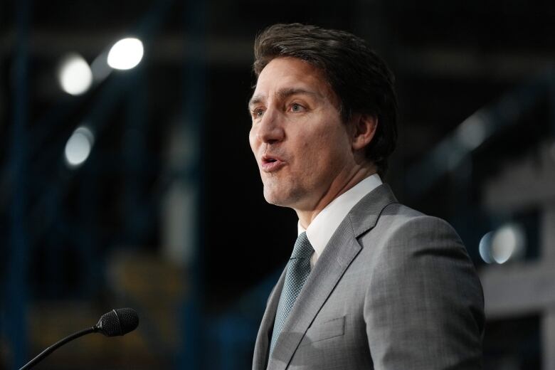 Prime Minister Justin Trudeau speaks during a news conference