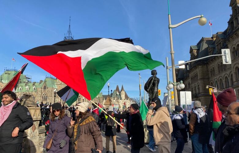 People wave a black, white, red and green flag during a protest near a legislature in late autumn.