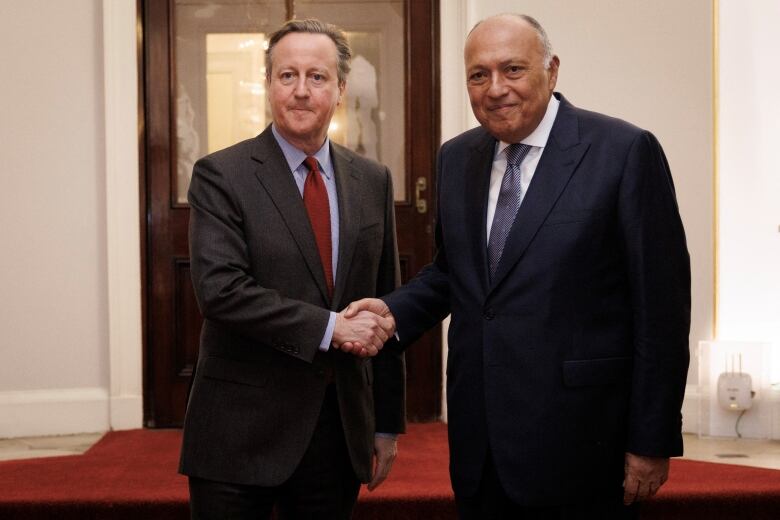 British Foreign Secretary David Cameron greets the Foreign Minister of Egypt, Sameh Shoukry as he welcomes Arab and Islamic counterparts to Lancaster House in London, Britain November 22, 2023.    