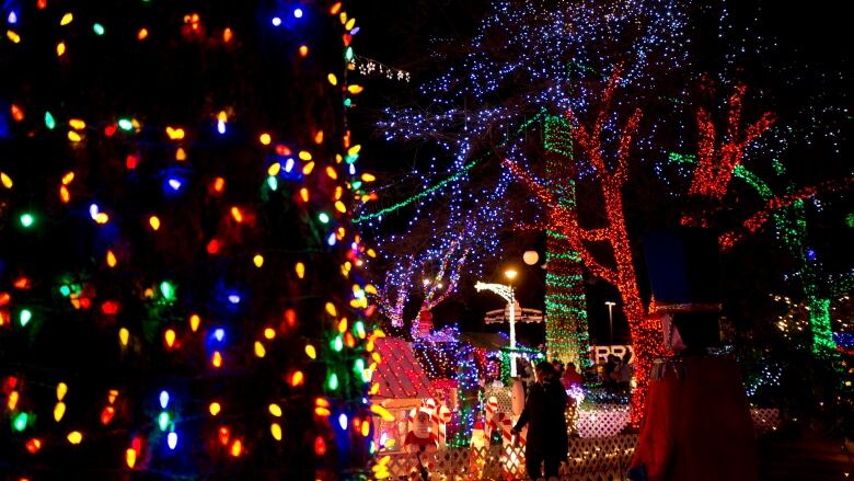 People wander in a brightly lit park during Christmastime.