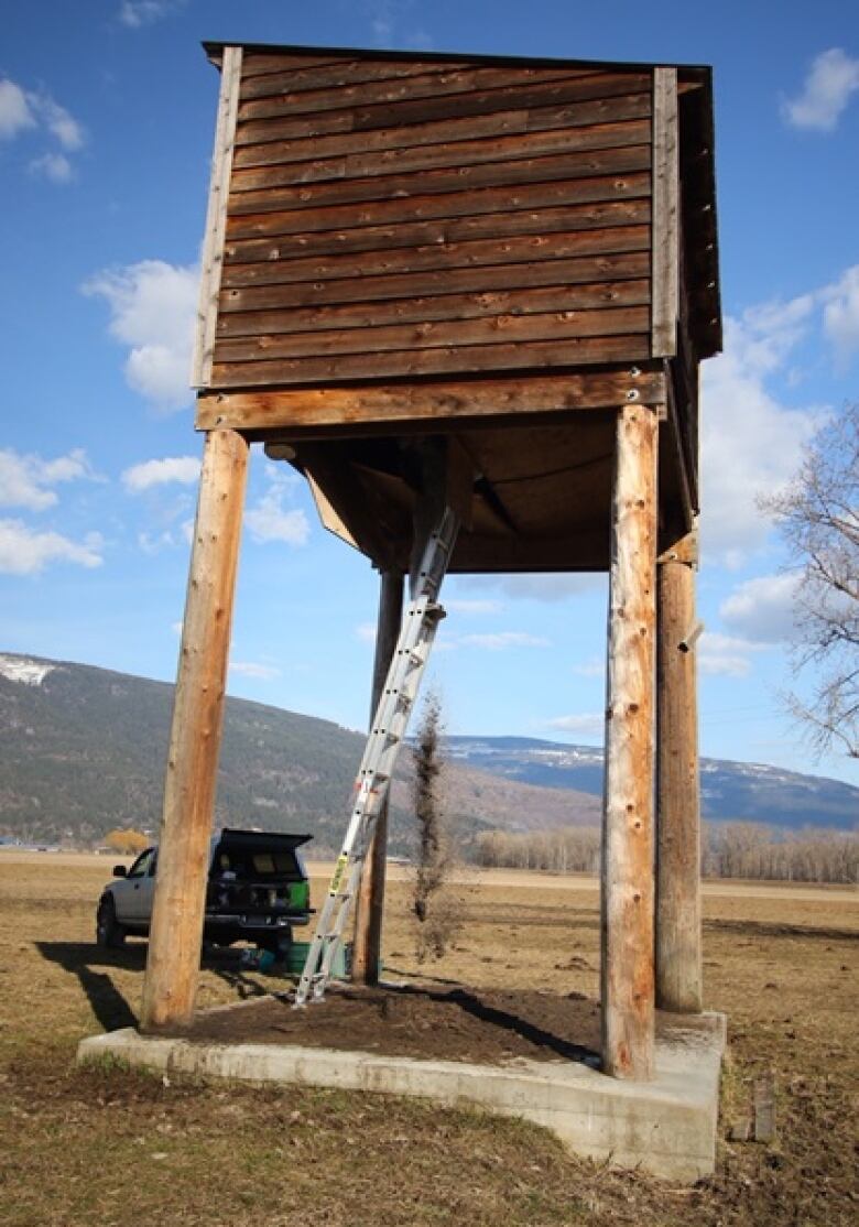 A wood building on four wood poles is raised far above a truck parked on the ground below in the countryside.