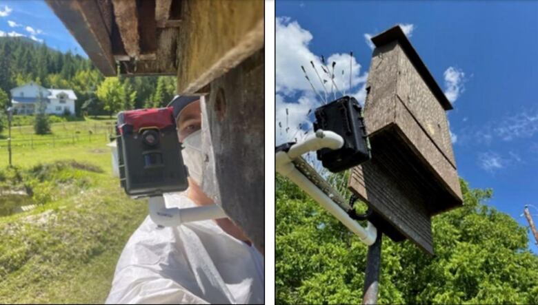 A person wearing a while protective suit and facemask looks at a small mounted camera on a wood small wood structure raised on stilts above the ground.