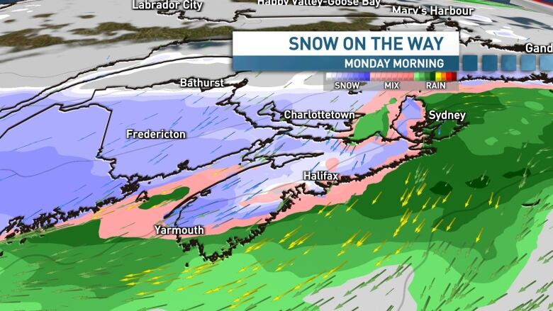 Graphic showing snow expected by Monday morning