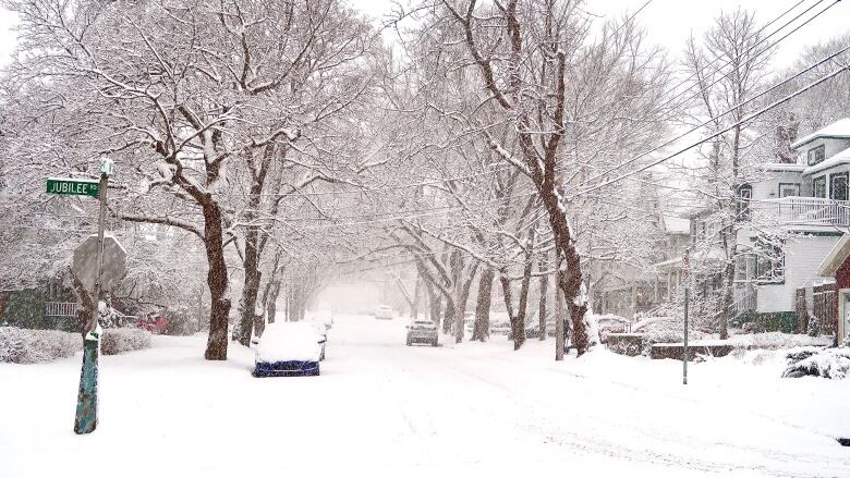 Snowy street in Halifax with cars covered with snow and a sign for Jubilee Road.