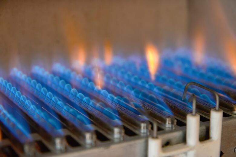 Blue fingers of flame emanate from rows of metal elements within a gas furnace.