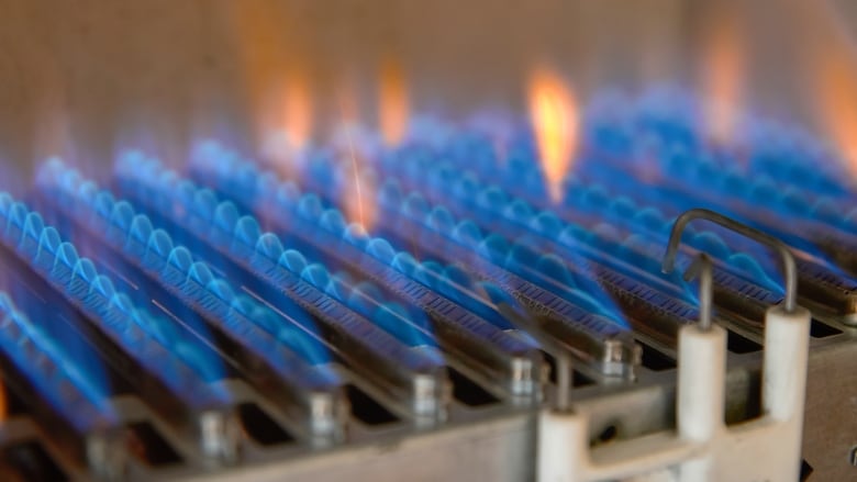 Blue fingers of flame emanate from rows of metal elements within a gas furnace.