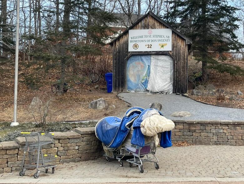 A small wooden hut, with tarps blocking the entrance. Two shopping carts are parked in front of it.