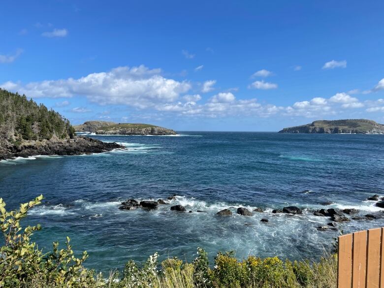 scenic view of the ocean