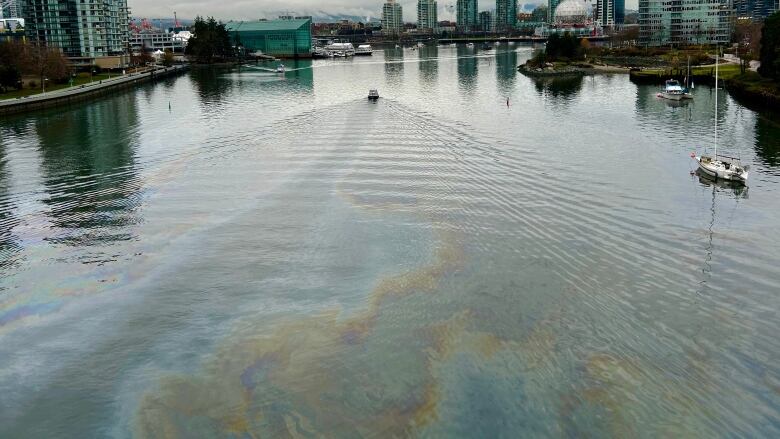 An oily sheen is seen on a large inlet, with buildings and a spherical building in the background.