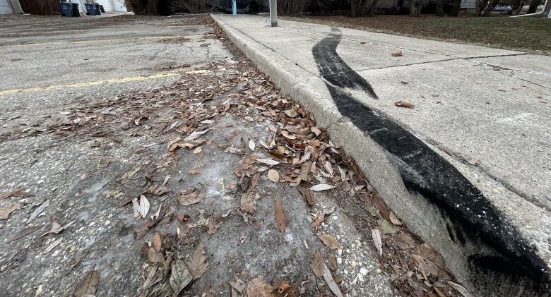 A black skid mark on concrete. 