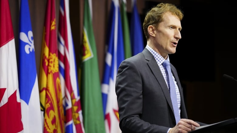 A man in a suit speaks at a podium in front of a row of flags.