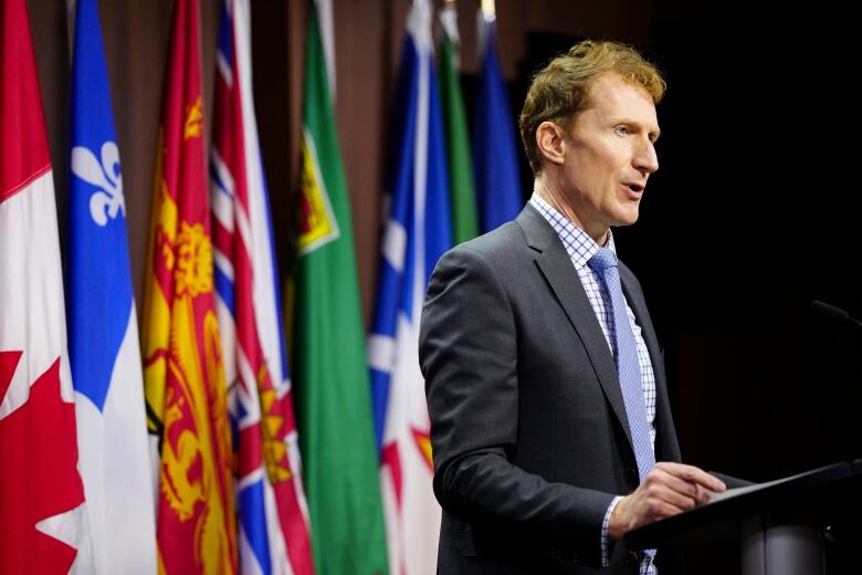 A man in a suit speaks at a podium in front of a row of flags.