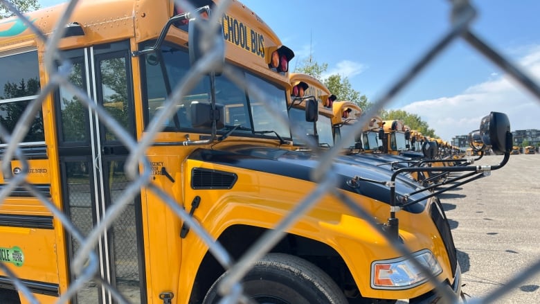 school bus transportation education student calgary