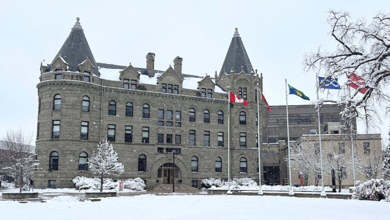 Snow falls in front of a castle-like stone building with turrets.