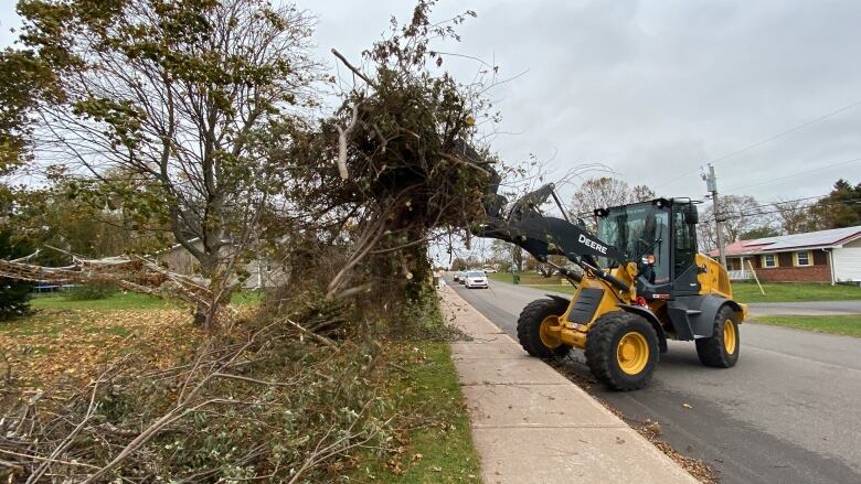 A front end loader clears downed branches from the sidewalk.