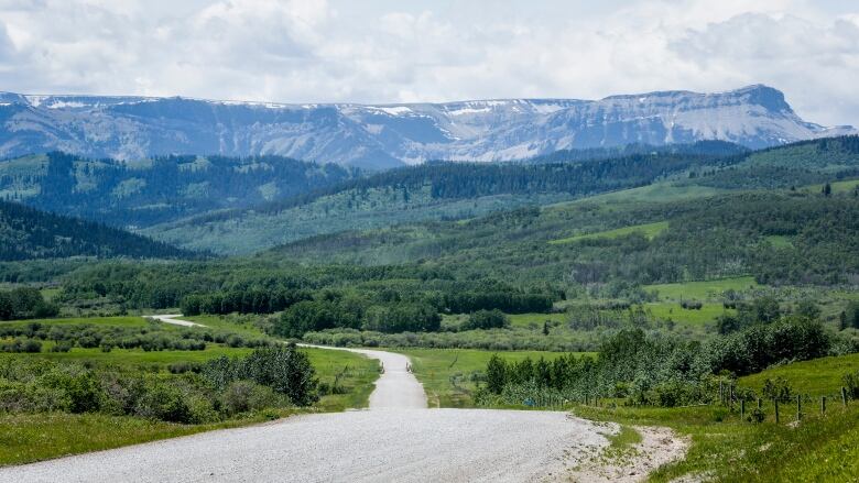 A hillside is shown with a number of trees along with a long gravel road.