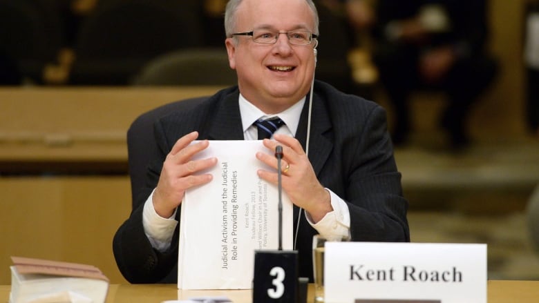 University of Toronto law professor Kent Roach appears at a Senate national defence committee in Ottawa on Monday, February 2, 2015, to discuss security threats facing Canada.