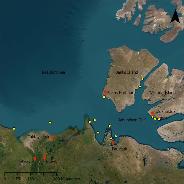 A map of where the underwater recorders were placed, marked with pinpoints. 