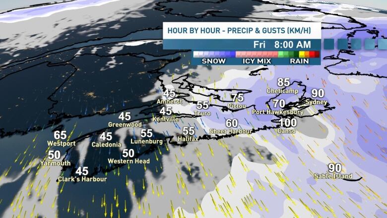 A map showing the hour by hour precipitation estimates across Nova Scotia for Friday, Dec. 22 at 8 a.m.