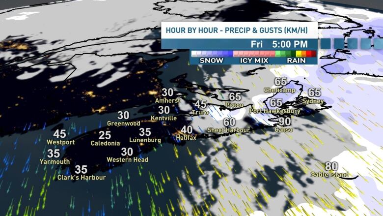 A map showing the hour by hour precipitation estimates across Nova Scotia for Friday, Dec. 22 at 5 p.m.