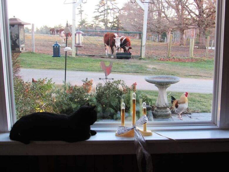 A cat rests on a window sill next to a set of plastic candle lights.