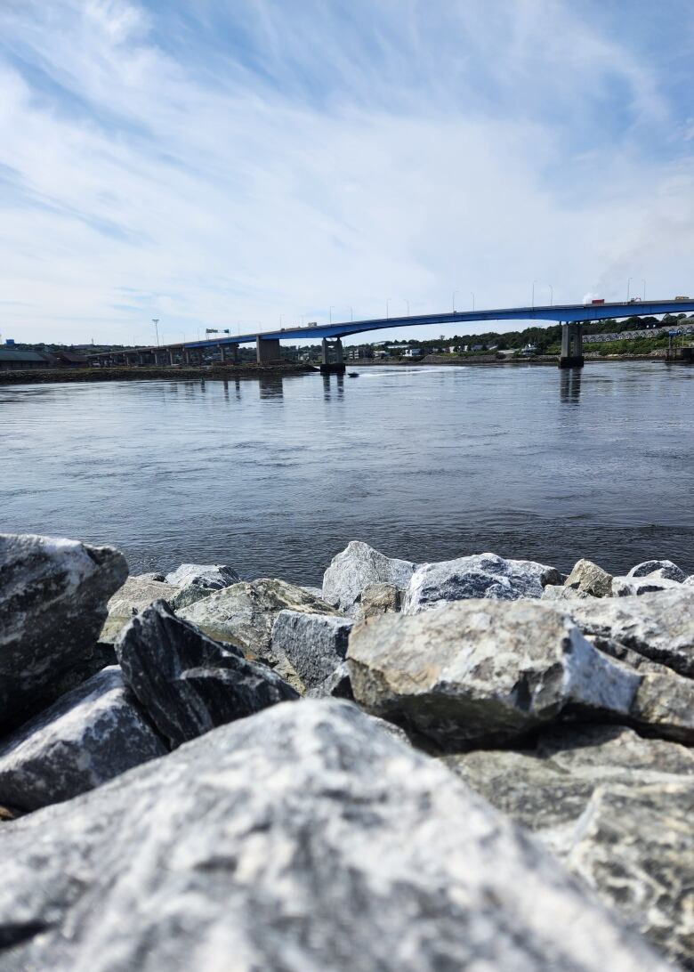 A picture of a few rocks in front of the Saint John Harbour.