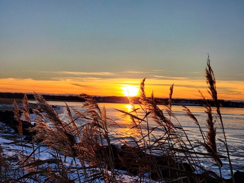 A deep, yellow sunset over a snowy stretch of water. 