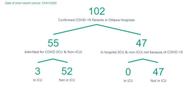 A chart showing the number of people in Ottawa hospitals with COVID.