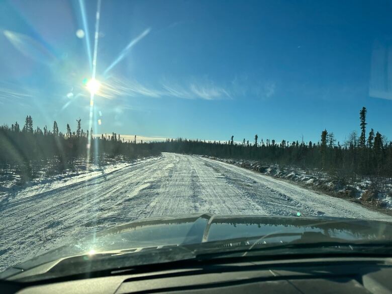 Pine and spruce trees line a road covered in snow with the sun shining and clear blue skies in the background.