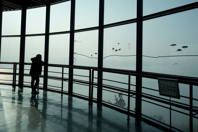 A silhouetted figure leans on a railing and looks out a window-wall into an apparently grey day.