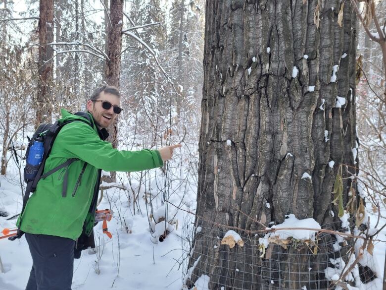 A man in sunglasses points to a tree in winter.