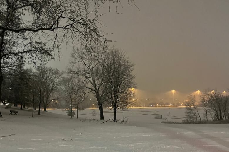 Toronto winter storm 3