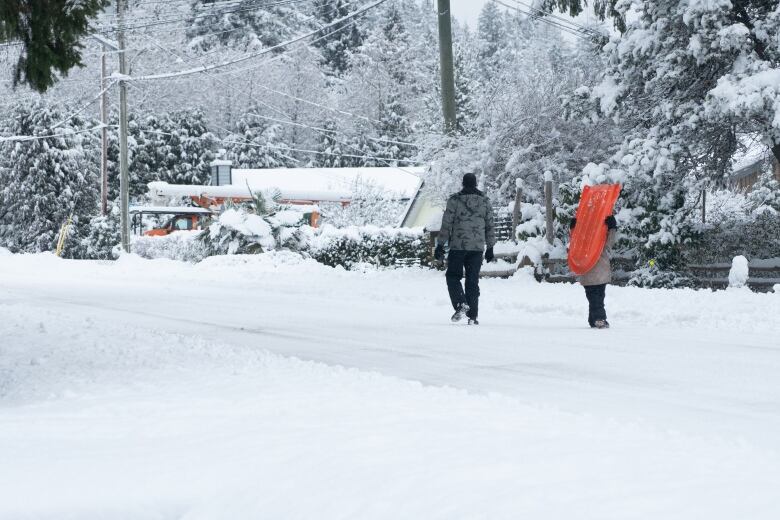 Two youth walk with their backs to the camera down a snowy suburban road. One is carrying a sled slung across their back.