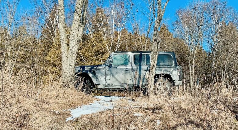 A Jeep sitting in a wooded area.