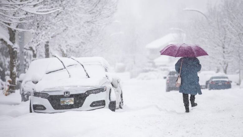 A woman wears a blue coat and carries a pink purse and an umbrella while walking away from the camera on a snowy street. The umbrella is covered in snow.