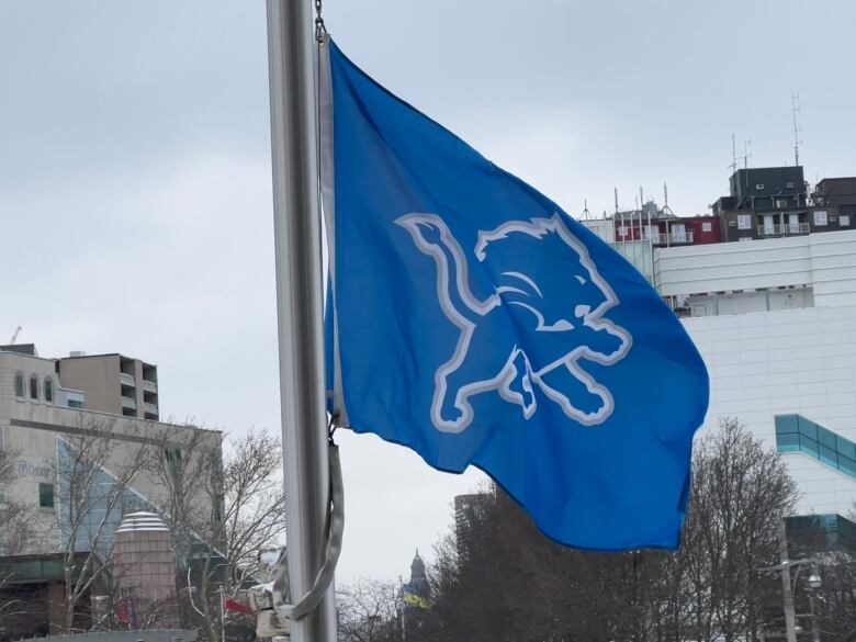 A sports team's flag in front of a city hall building.