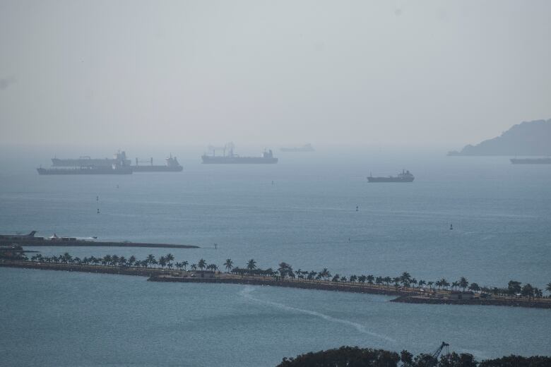 Cargo ships at anchor in a bay.