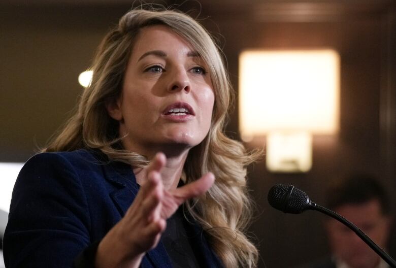 Minister of Foreign Affairs Melanie Joly speaks to the press during the federal cabinet retreat in Montreal, Monday, Jan. 22, 2024. 