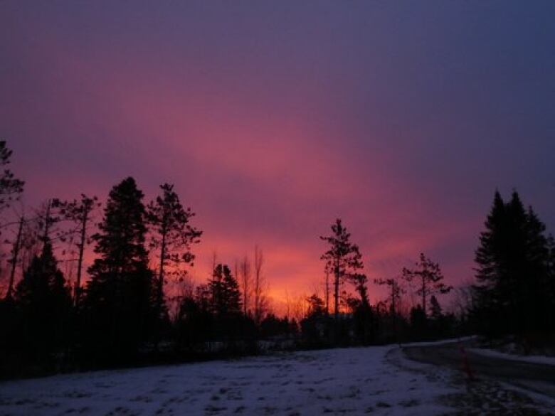 A purple sky blends into rose and orange colours over a treeline. There is snow on the ground.